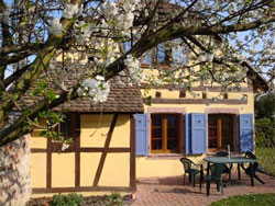 Ferienhaus in den Vogesen Ferienhaus Vogesen
