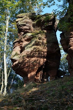 Sandstein-Felsen in den Vogesen Sandstein-Felsen in den Vogesen